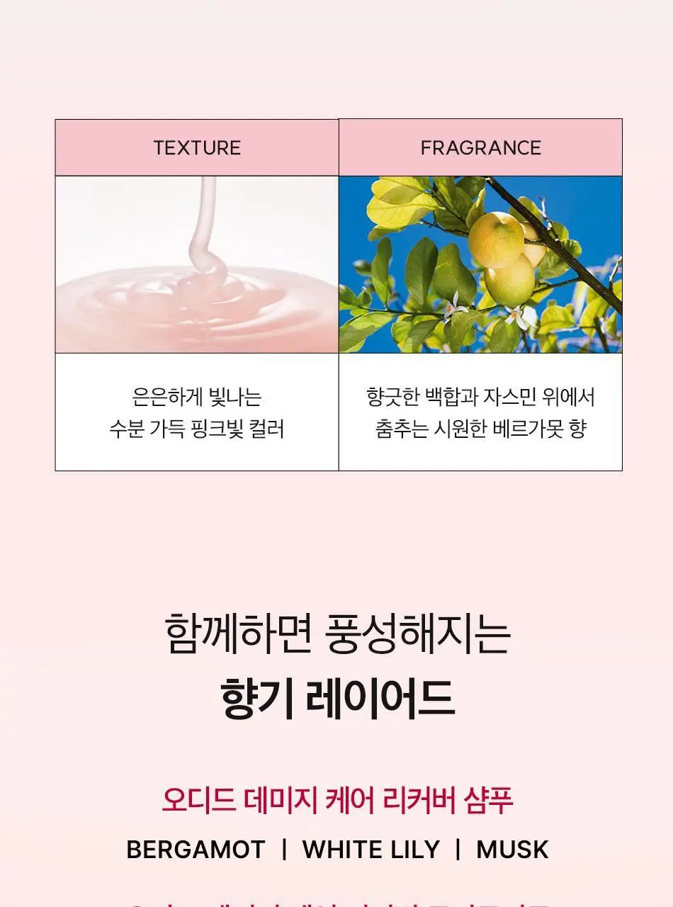 [수분볼륨] 오디드 데미지 케어 리커버 샴푸 500ml (온) 상세페이지 33